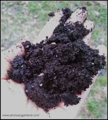 Seed start mix 8.8 l. Don T Do This Germination Failure Sanctuary Gardener