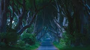 The 8th edition of we care film festival, a short film festival that highlights disability issues and tries to create awareness among people, was. Belfast Tv And Film At Home A Blog Full Of Ideas And Inspiration Visit Belfast