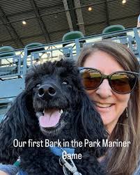 Rays dog days at the ballpark