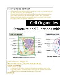 We did not find results for: Cell Organelles Definition Endoplasmic Reticulum Cell Nucleus