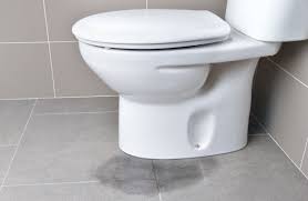 We did not find results for: How To Fix A Toilet That Leaks Around The Base Old Farmer S Almanac