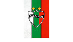 Palestino png transparent images download free png images, vectors, stock photos, psd templates, icons, fonts, graphics, clipart, mockups, with transparent background. Club Deportivo Palestino Club Deportivo Palestino Notebook Football Club Journal Diary Gift 110 Blank Pages 6x9 Inches Matte Finish Cover Publishing Ynes Gifts 9798560433215 Amazon Com Books