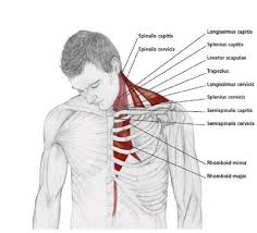 Pin On Exercises Stretches