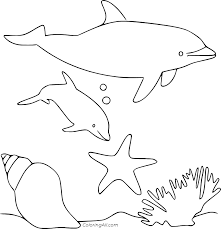 Although they are better navigators of the sea than we are, for this fun activity, we need the help of your children to get these lost porpoises back to the open waters. Porpoise Coloring Pages Coloringall