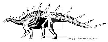 You can tackle them in any order, but we recommend the order listed here as it'll make your trek easier. Kentrosaurus By Scotthartman Dinosaur Silhouette Prehistoric Animals Dinosaur Illustration