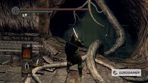 I'M A +2 In The Chaos Servant Covenant, So Why Is This Not Open? : R/ Darksouls
