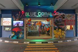 Kl tower, 50250 kuala lumpur, malaysia coordinate: Blue Coral Aquarium Kl Tower