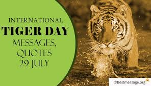 Global tiger day or international tiger day is annually celebrated on 29th july. International Tiger Day Messages Quotes Slogans 29 July