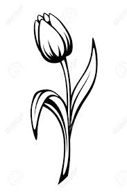 Black And White Vector Art Flowers Dog Line Drawing Flower Drawing Flower Line Drawings Tulips Art