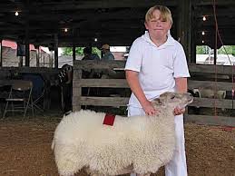 We did not find results for: Easy Shepherding With Shetland Sheep