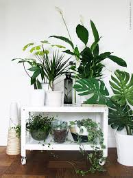 How to decorate with plants indoors. 9 Gorgeous Ways To Decorate With Plants Melyssa Griffin