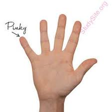 The most accurate translation of fingers, ungliyaan in english to there are many synonyms of fingers which include antenna, claw, digit, extremity, feeler, hook, pinky, pointer, tentacle, thumb, ring finger, tactile member, etc. English To Korean Dictionary Meaning Of Pinky In Korean Is ë¶„í™ìƒ‰ì„ ë¤