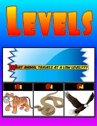 P E Assessments Assessment Physical Education Games Physical Education