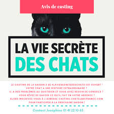 Une vie privée, une vie publique et une vie secrète. j??i ?t? Avis Aux Amoureux Bormes Les Mimosas Ville Officiel Facebook