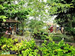Sebelum kita melihat bagaimana keindahan yang ditawarkan kota kecil di jawa timur ini. 25 Tempat Wisata Di Sidoarjo Jawa Timur Terbaru Yang Wajib Dikunjungi