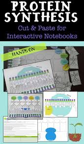 Protein Synthesis Interactive Notebook Activity Biology Interactive Notebook Biology Classroom Biology Lessons
