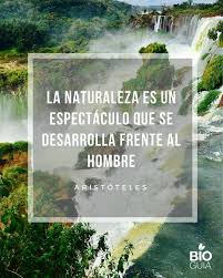 Pin En Actualidad Y Mucho Mas