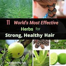 To make a basic dye, simply brew herbal material into a strong tea and rinse it through your hair. 11 Miracle Herbs For Strong Healthy Hair Hair Buddha