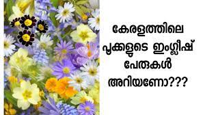 In kerala, golden rain flower is known as kanikkonna. Kerala Flowers English Names Various Flowers In Kerala English Names Youtube