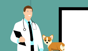 This permanent id can never be removed or become impossible to read. How To Find A Lost Dog With A Microchip