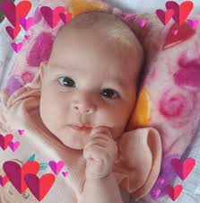 Buen día les dejo esta fotografía de Canelas Durango 😍 🌲 🌲 🌳 🌳 🌳 qué  tengan un excelente día 😊