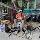 David Reed ~ "Americana Groove Music from the - Genungs Fish Camp Live Bait & Tackle/Kayak Rentals, 291 Cubbedge Rd Event Image