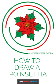 Drawing studies of a poinsettia. How To Draw A Poinsettia Really Easy Drawing Tutorial