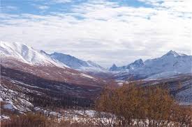Dari peta di atas dapat kita ketahui bahwa wilayah persebaran bioma tundrea terdapat di sekitar lingkar artik yaitu greenland, alaska dan siberia bagian utara di wilayah kutub utara. Bioma Tundra Pengertian Ciri Iklim Macam Jenis Flora Dan Fauna Jagad Id