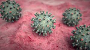 Marburg virus disease (mvd), formerly known as marburg haemorrhagic fever, is a severe, often fatal illness in humans. F76mkmhpwtwokm