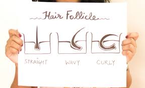 Try a mousse to make hair curly! What Makes Curly Hair Curly Or Straight Hair Straight Curlsandbeautydiary