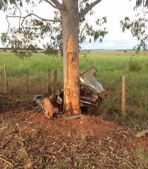Dois homens morrem após carro bater em árvore em vicinal de Zacarias | São  José do Rio Preto e Araçatuba | G1