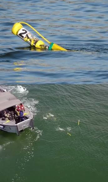SwarmDiver — image 5