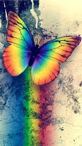 Pin Von Jennifer Gunn Auf Ideen Rund Ums Kunst Regenbogenfotografie Schone Schmetterlinge Hubsche Tapeten