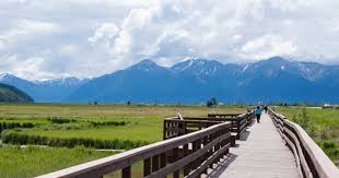 The published population density is very low as the city covers over a whopping 1900 square miles. 7 Things To Do In Anchorage Alaska Budget Travel