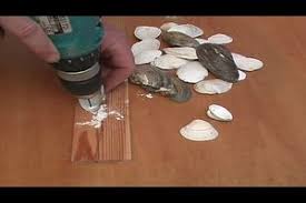 Reisen gehört heute zu ihrem beruf. Video Windspiel Basteln So Geht S Mit Muscheln