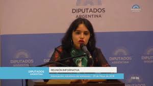 Ofelia fernández, activista argentina de 19 años de edad, ya es la precandidata por el frente de todos, partido de izquierda que tiene como representante a la vicepresidencia cristina kichner. Quien Es Ofelia Fernandez La Legisladora Mas Joven De La Historia De Argentina