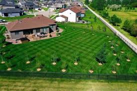 All seasons lawn care offers residential lawn care services. Services Welk S Lawn Care
