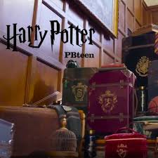 Pin On Harry Potter Y Animales Fantasticos