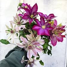 The days are long and the nights are short. Wedding Flowers For Every Season