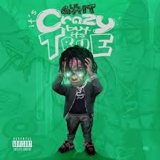 Full Album Lil Gotit Crazy But It S True All Tracks Download Music Visualization Internet Music Vinyl Music