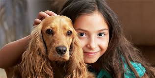 Crossroads Animal Hospital