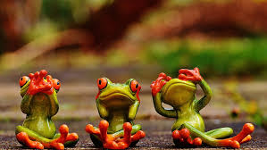 Frog wallpapers for 4k, 1080p hd and. Green Frog Wallpaper Hd Wallpapers Free Download Wallpaperbetter
