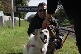 De cumpleaños para perros a regalos especiales: los homenajes de los  vecinos de Lomas en el Día del Animal