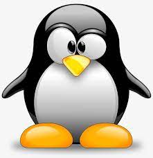 Cartoon Penguin Cartoon Animal Png Transparent Clipart Image And Psd File For Free Download Penguins Cute Penguin Cartoon Penguin Cartoon