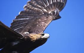 Discover Sophietsxo's private photos today!