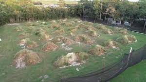 Gator Paintball Extreme Gator Paintball Extreme Packman Mounds Field Facebook