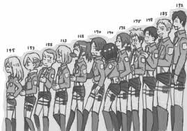 Height Chart Of The 14th Trainee Squad Attack On Titan