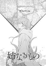 13+ Ane Naru Mono Chapter 46 - OljayOlubumi
