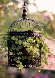 Birdcage Decor Bird Cage Ideas Today We Are Presenting You An Amazing Collection Of Eye Catching Birdcage Planters For Your Garden This Diy Birdcage Planter Bird Cage Decor Hanging Plants
