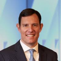 Stephen Friedland Email & Phone Number